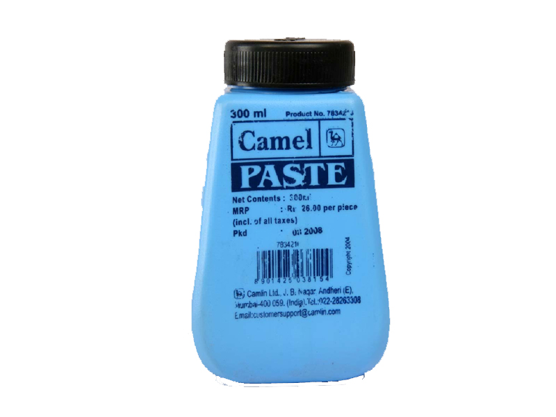 Camlin Adhesive paste 300 ml